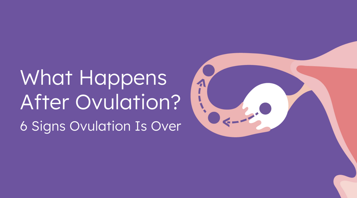 What Happens After Ovulation? 6 Signs Ovulation is Over - Proov