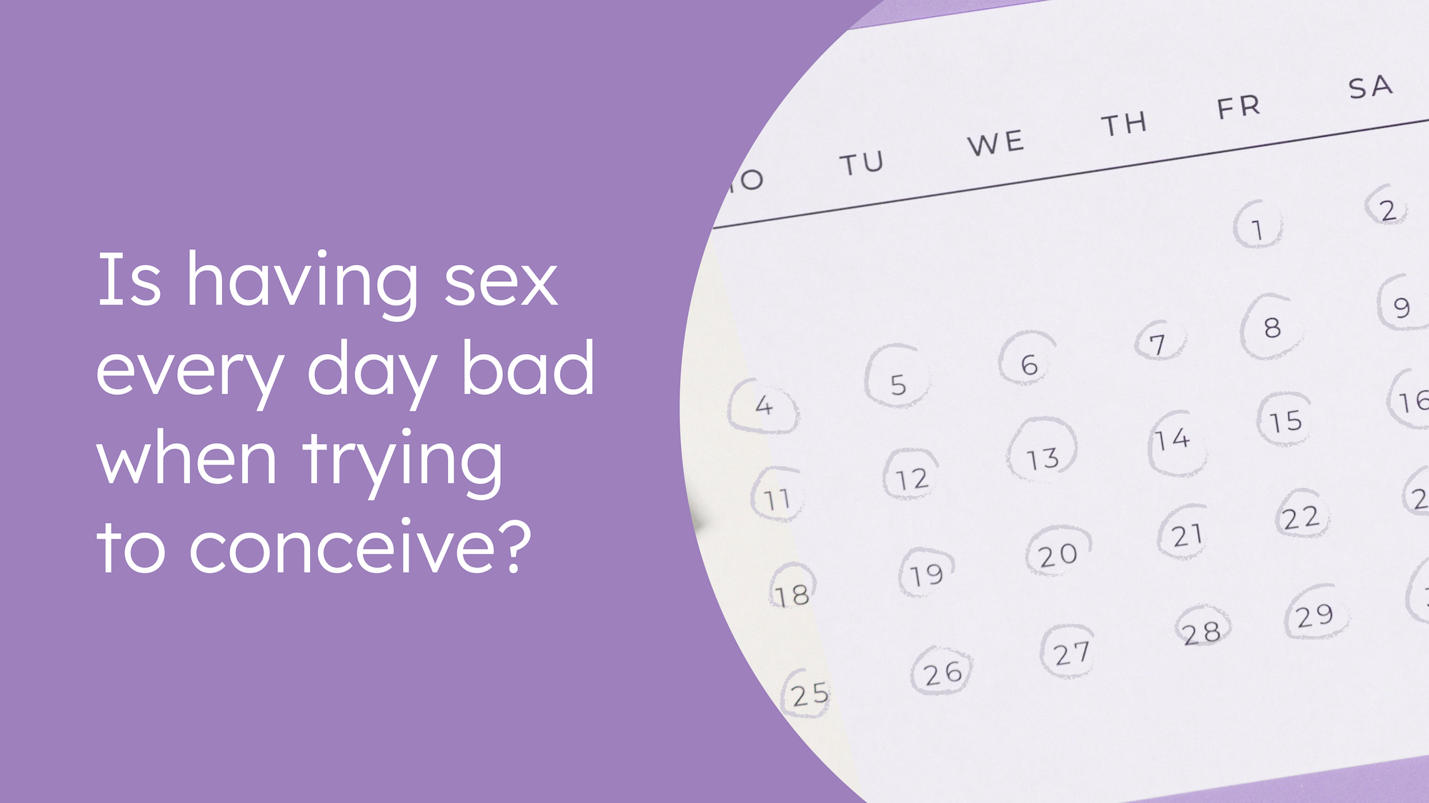 Is having sex every day bad when trying to conceive  Sex  