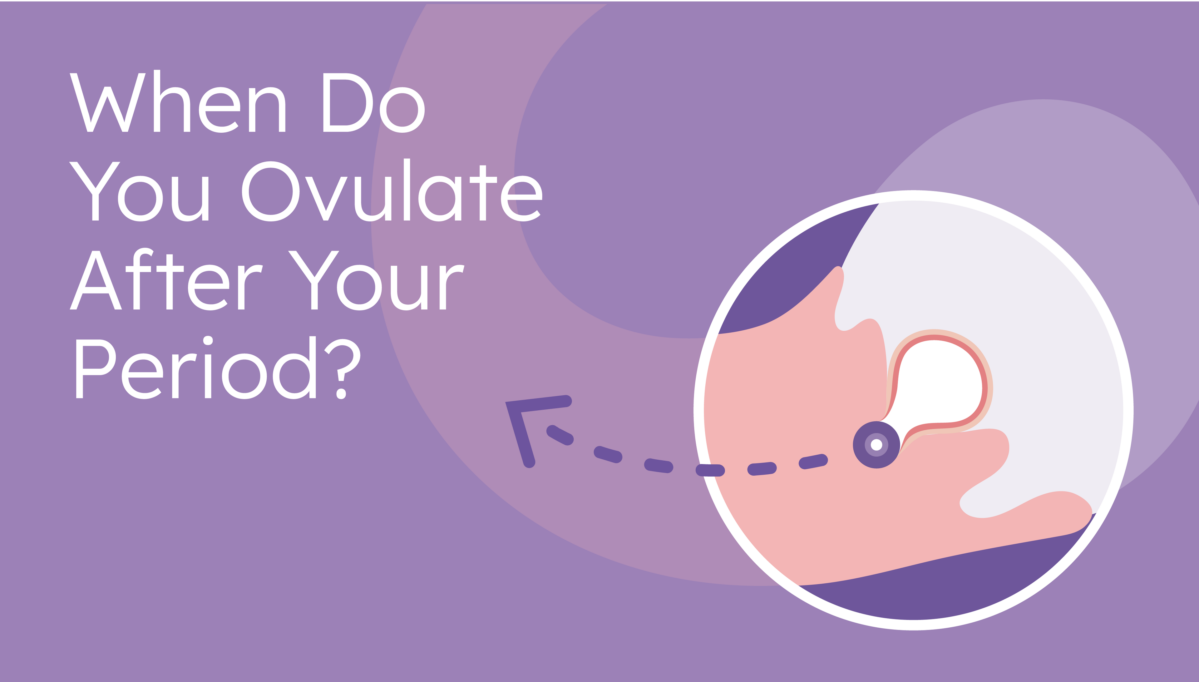 when do you ovulate after your period