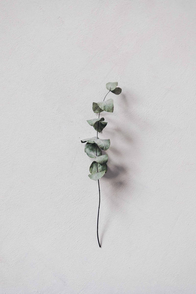 How long does menopause last? Learn about menopause Proov