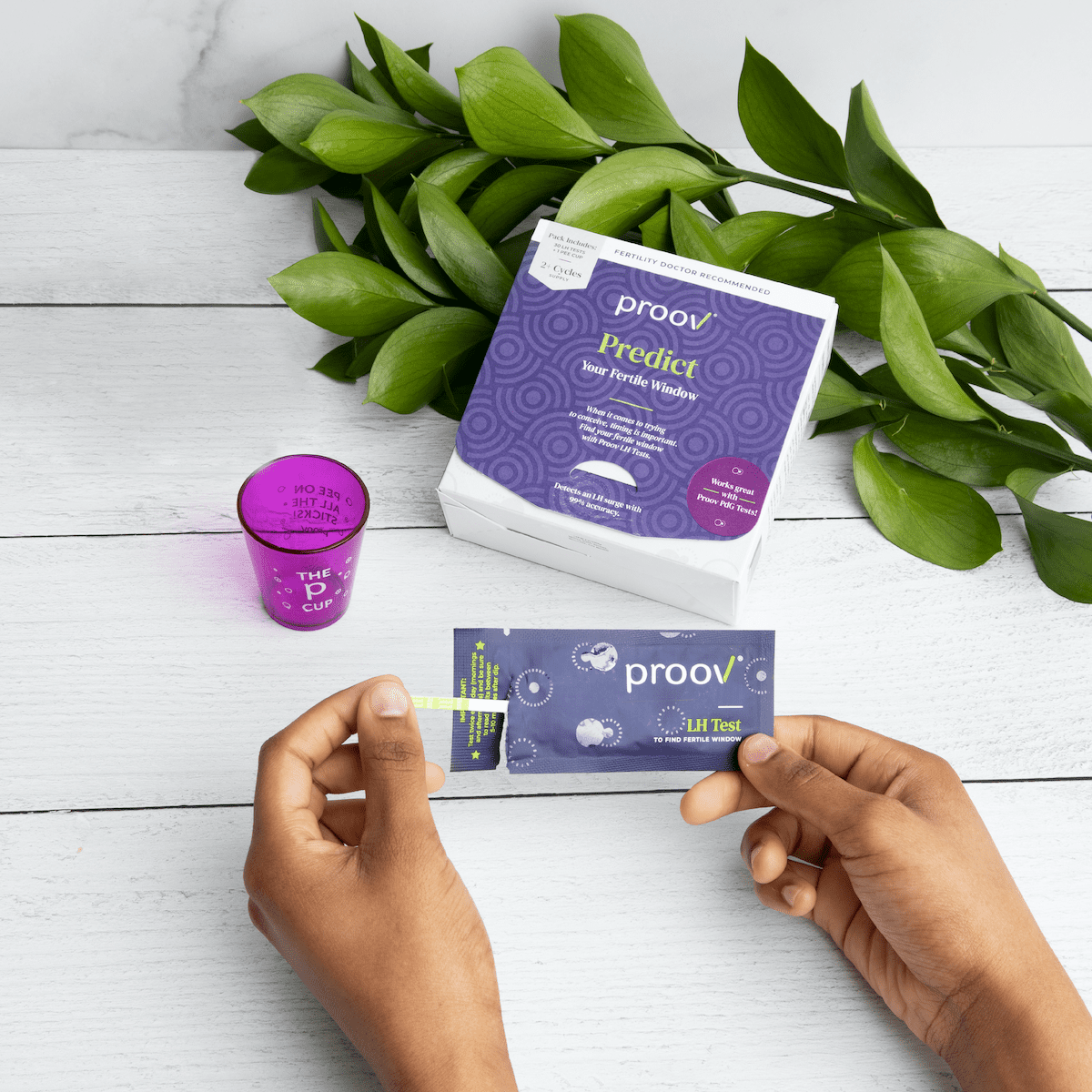 Ovulation Test Strips - Proov Test