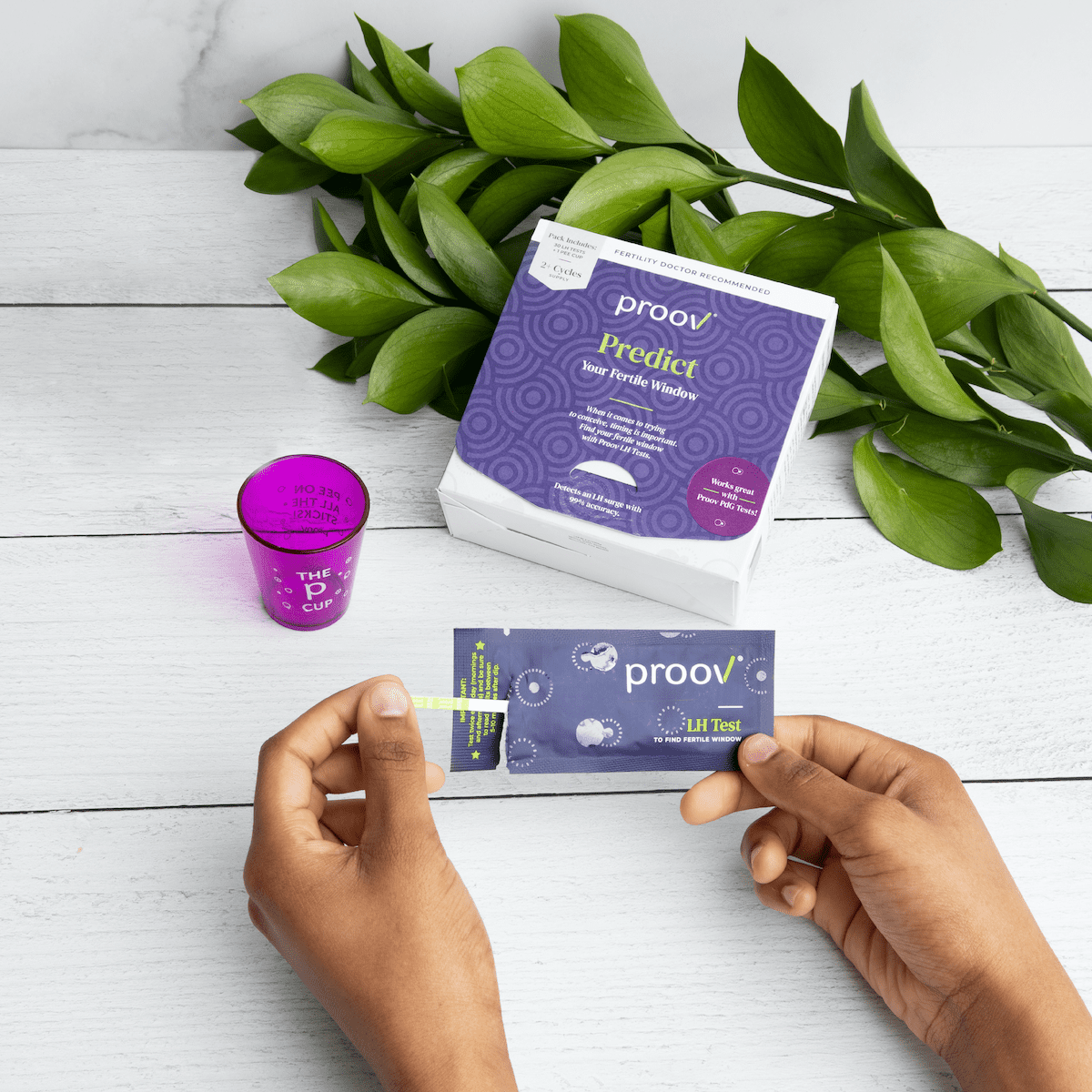 How do most ovulation predictor kits work? Proov