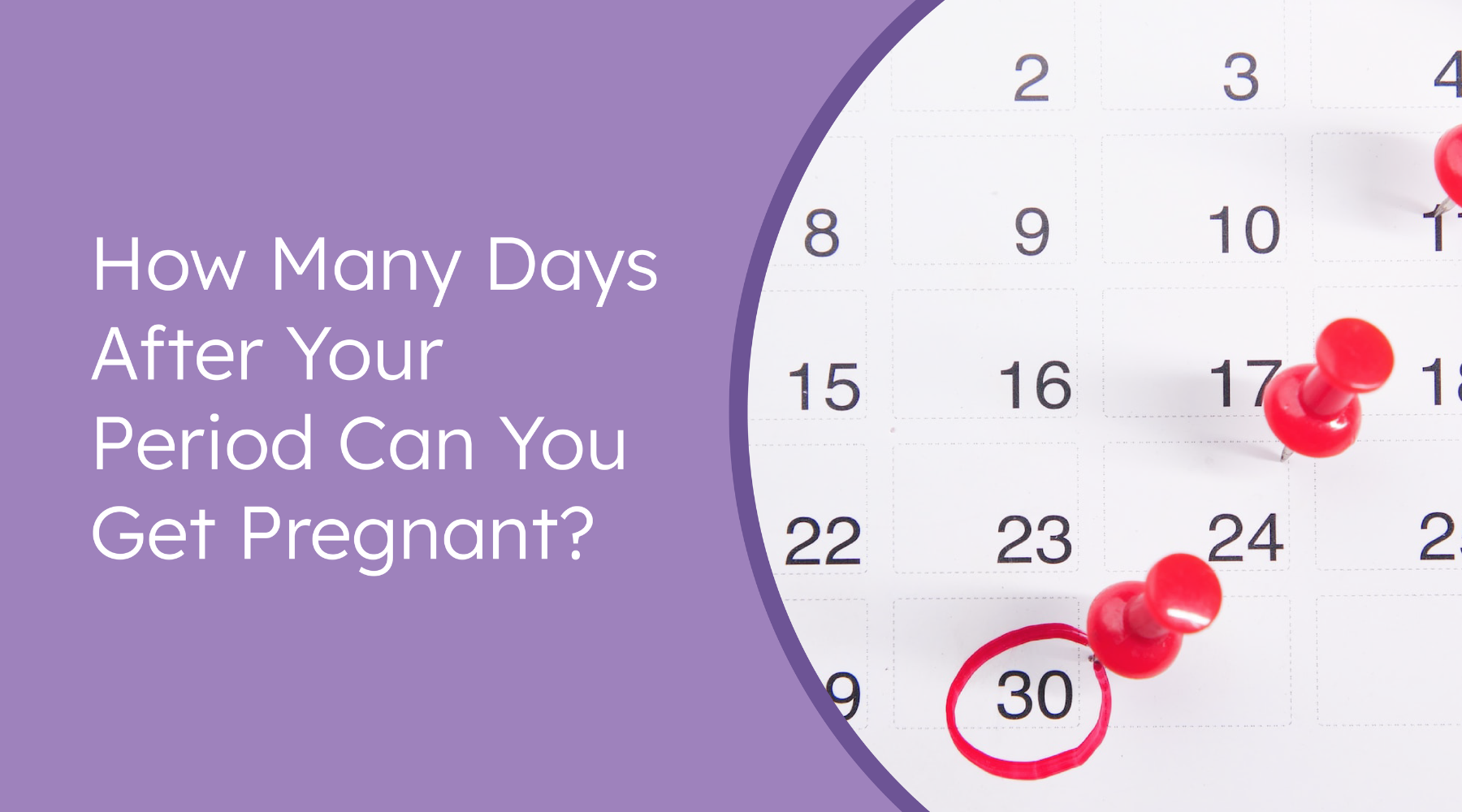 how many days after your period can you get pregnant?