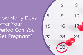 how many days after your period can you get pregnant?