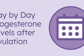 day by day progesterone levels after ovulation
