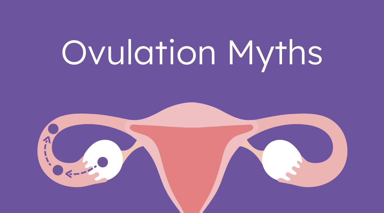 ovulation myths