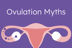 ovulation myths