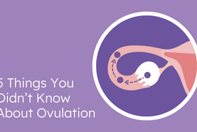 5 things you didn't know about ovulation