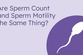 are sperm count & sperm motility the same thing?