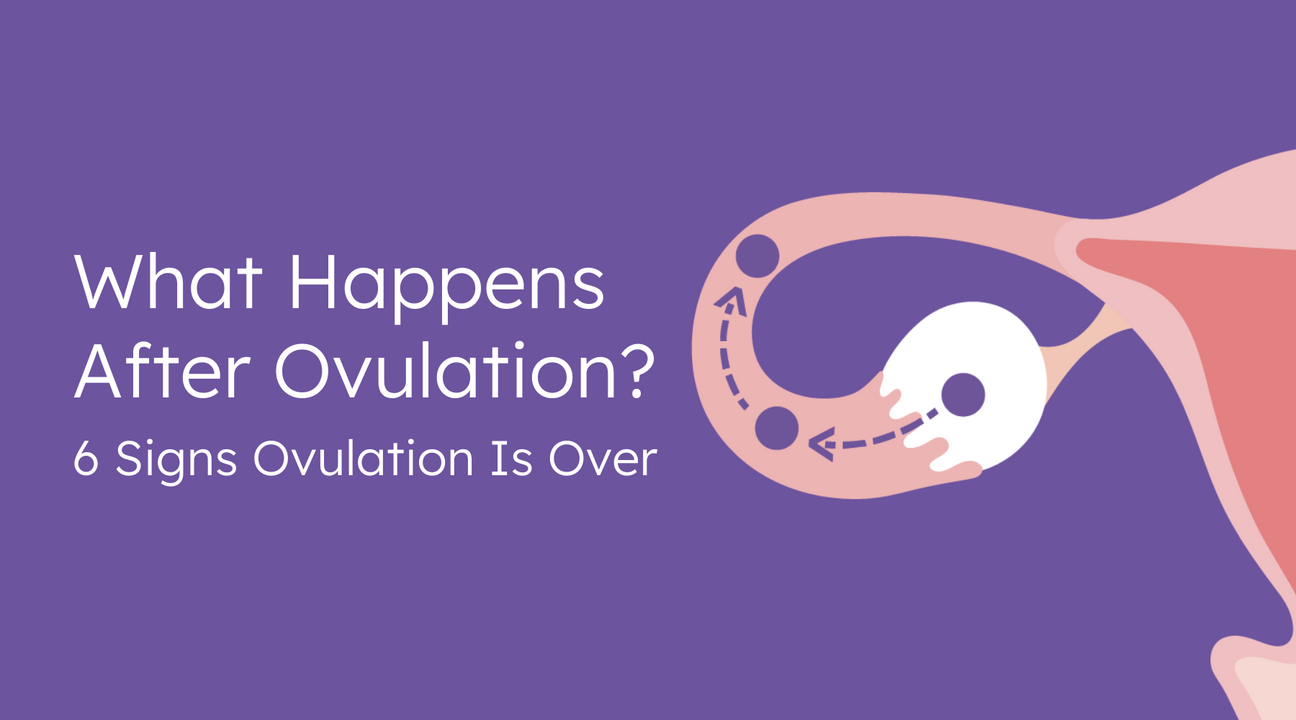 what happens after ovulation? 6 signs ovulation is over