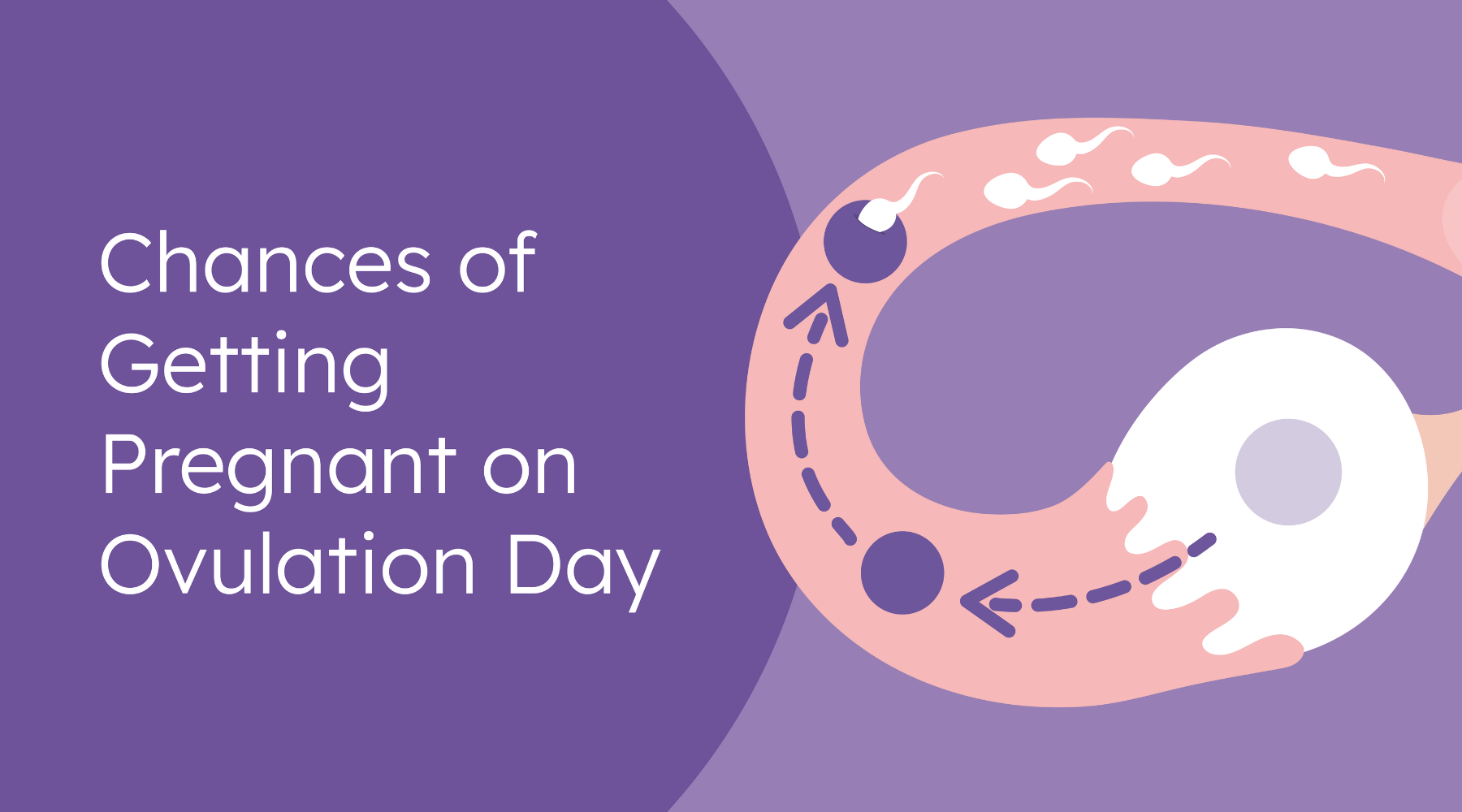 chances of getting pregnant on ovulation day