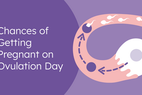chances of getting pregnant on ovulation day