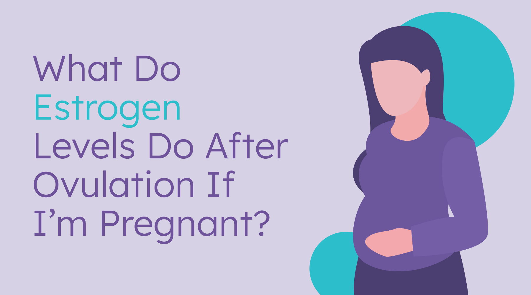 What do estrogen levels do after ovulation if pregnant?