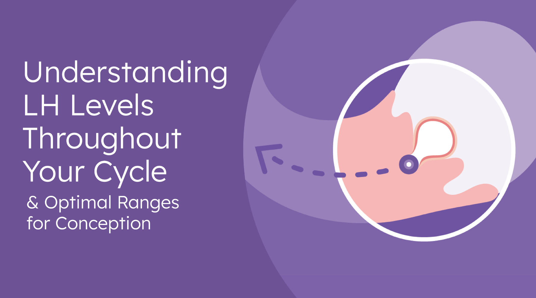 Understanding LH Levels Throughout Your Cycle & Optimal Ranges for ...
