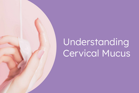 what does cervical mucus look like after ovulation if pregnant