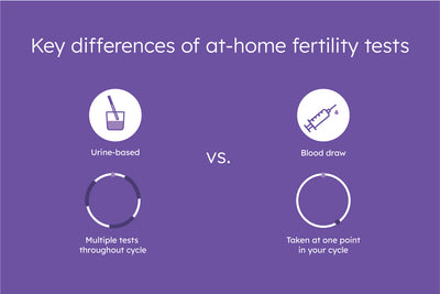 Proov vs Everlywell Fertility Tests: Similarities, Differences & How to Choose the Best Test for You