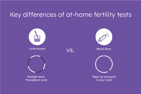 proov vs everlywell fertility testing