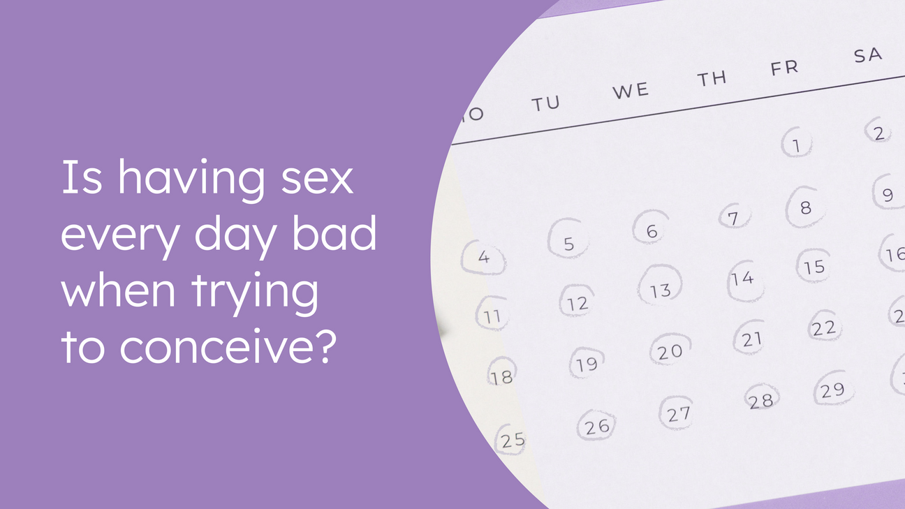 Is having sex every day bad when trying to conceive