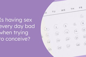 Is having sex every day bad when trying to conceive