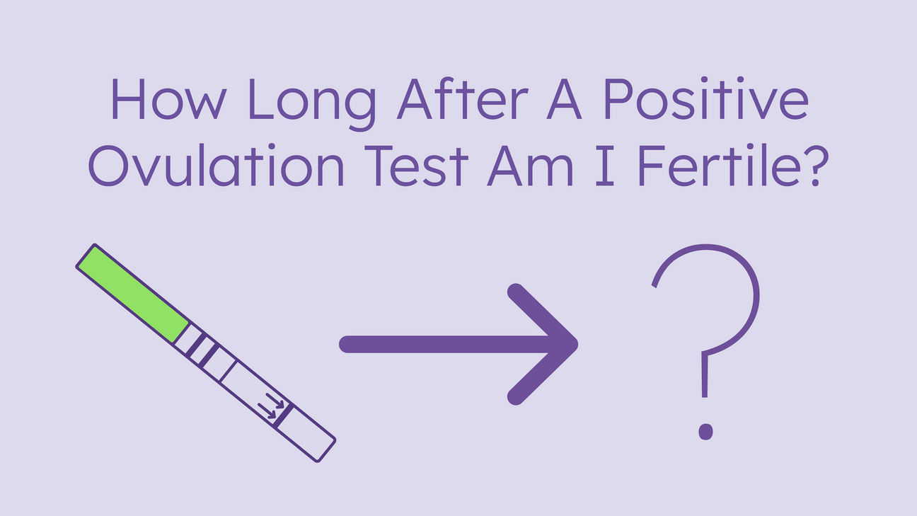 how long after a positive ovulation test am I fertile