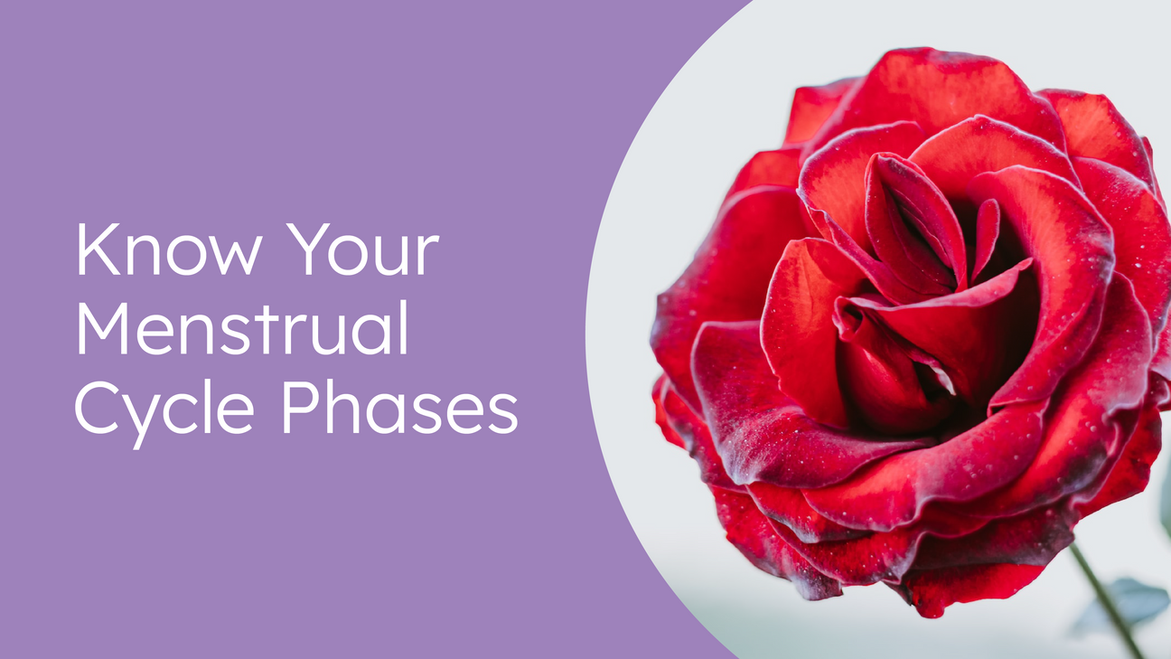 Know Your Menstrual Cycle Phases