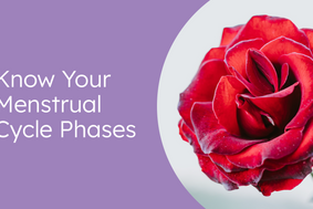 Know Your Menstrual Cycle Phases
