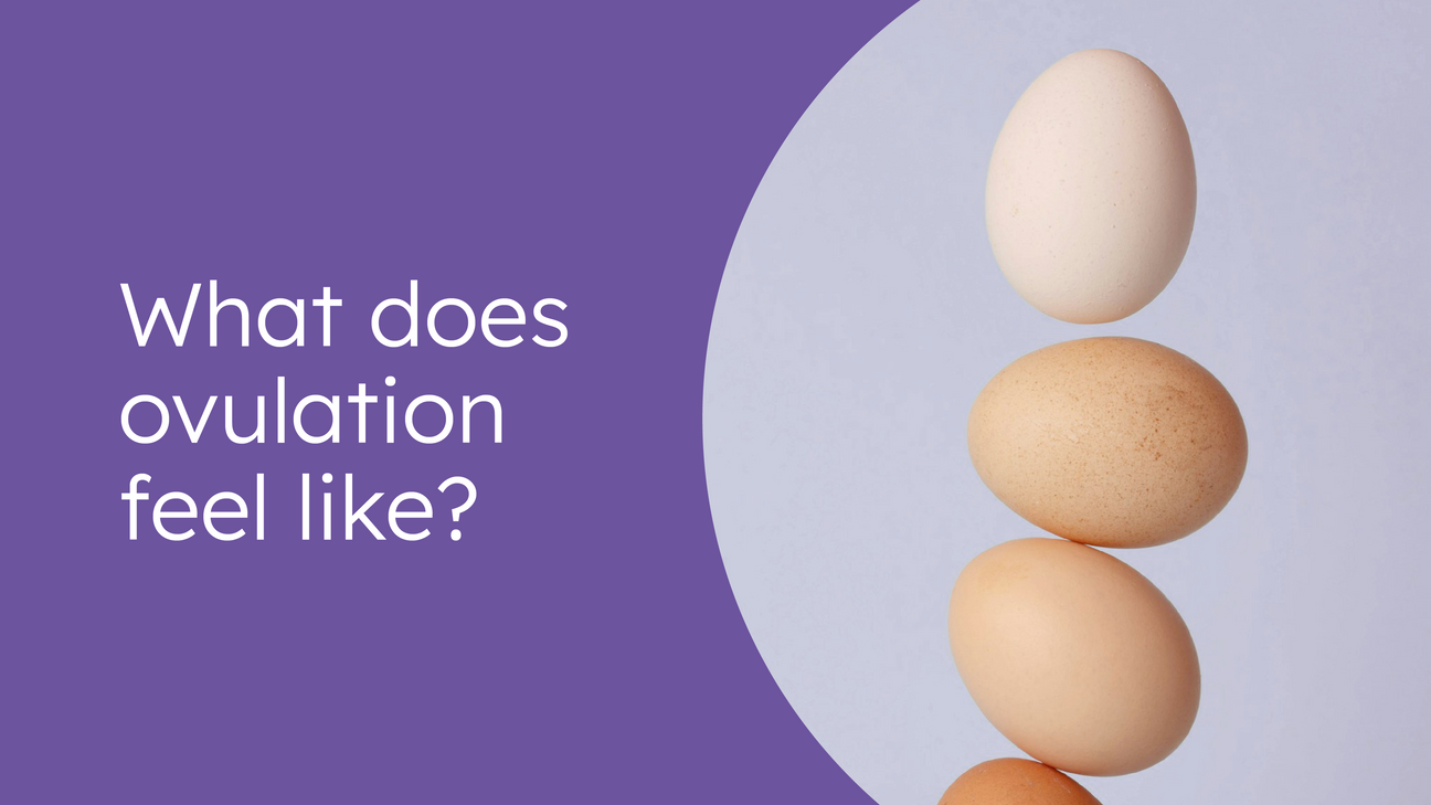 What Does Ovulation Feel Like?