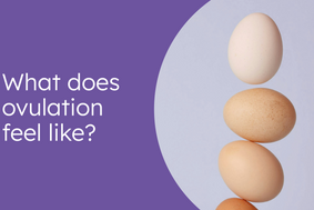 What Does Ovulation Feel Like?