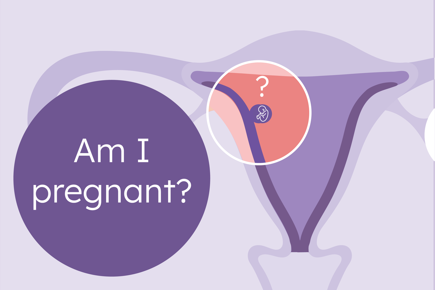 How do I know if I’m pregnant?