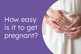 How easy is it to get pregnant?