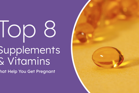 top 8 supplements & vitamins that help you get pregnant