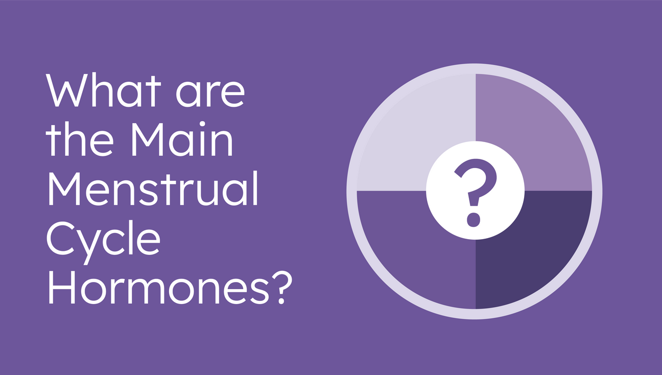 what are the main menstrual cycle hormones