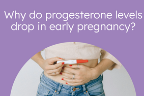 Why do progesterone levels drop in early pregnancy?