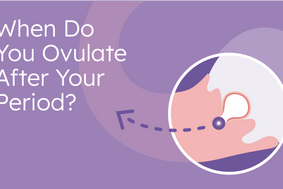 when do you ovulate after your period