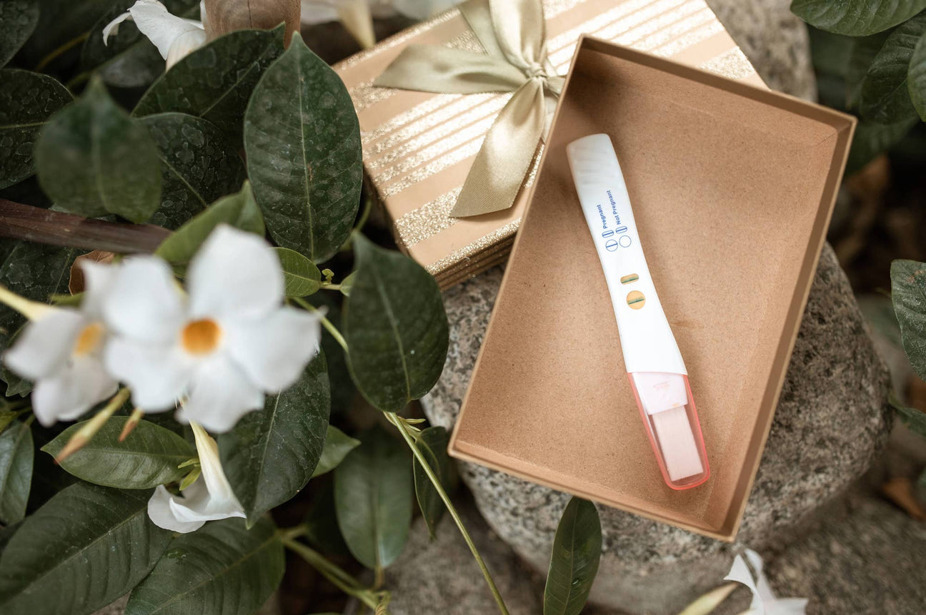 How many days past ovulation can you test for pregnancy?