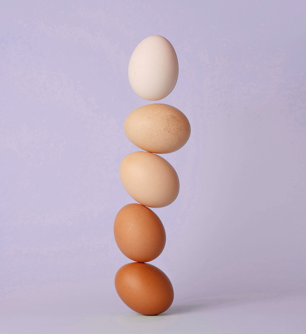 Quality Matters: All About Egg Quality and Successful Ovulation