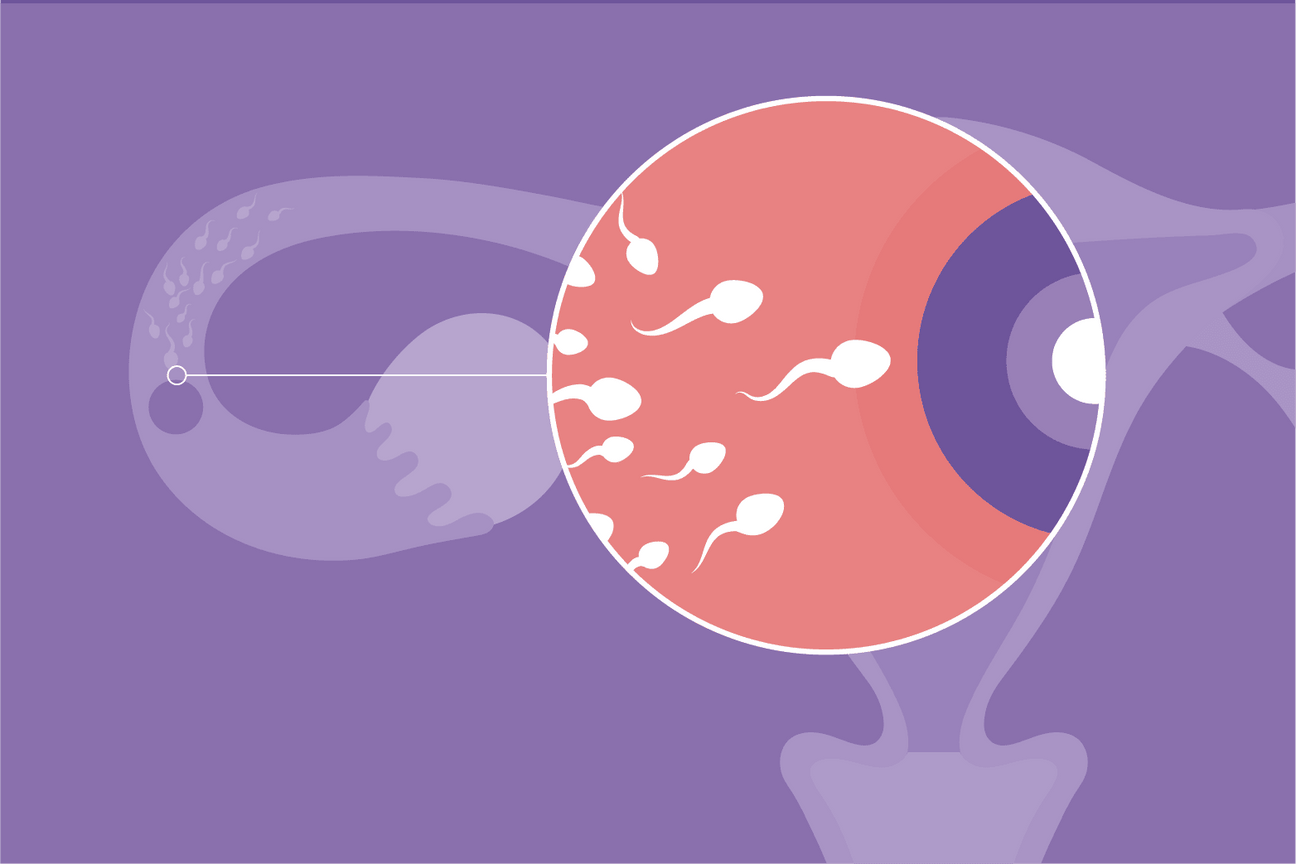 how much sperm does it take to get pregnant?