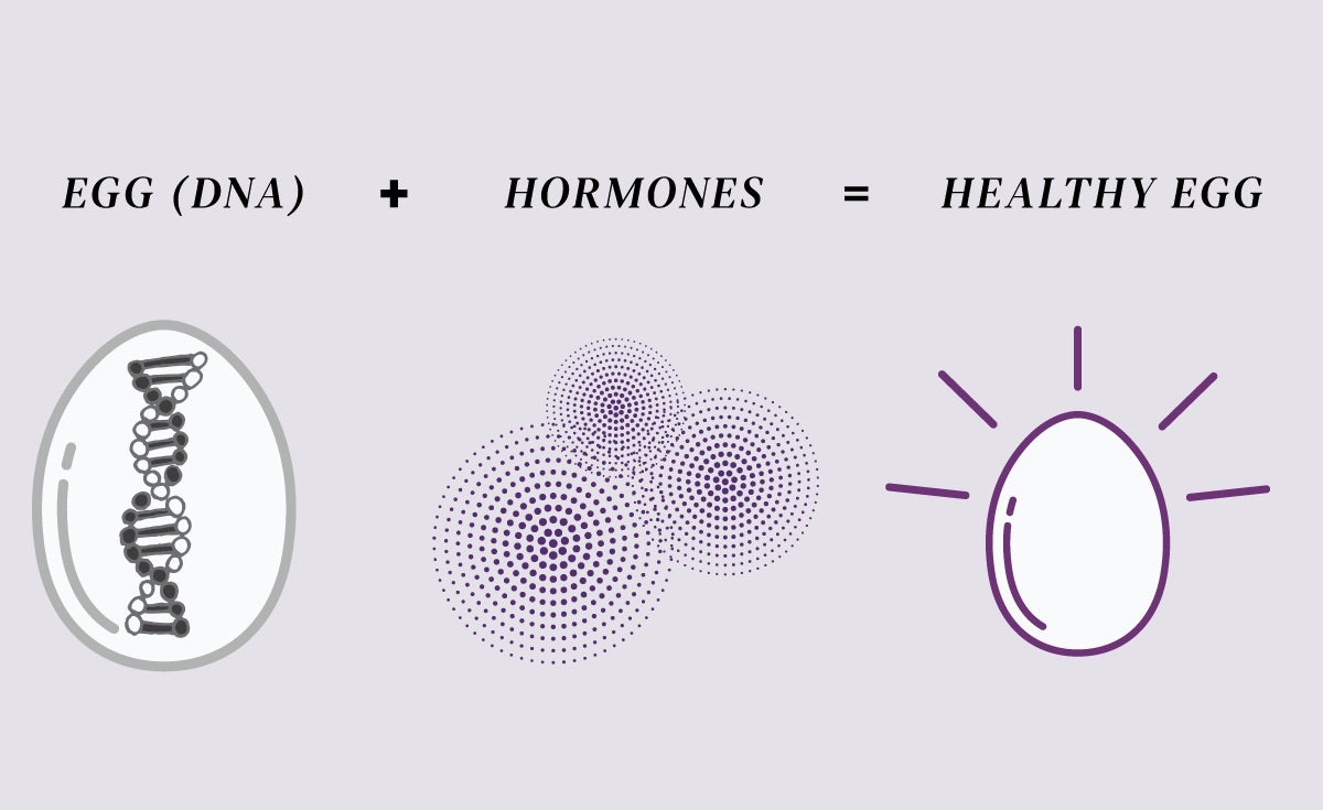 optimal egg quality requires optimal ovarian health