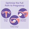 Path to Pregnancy - Gold