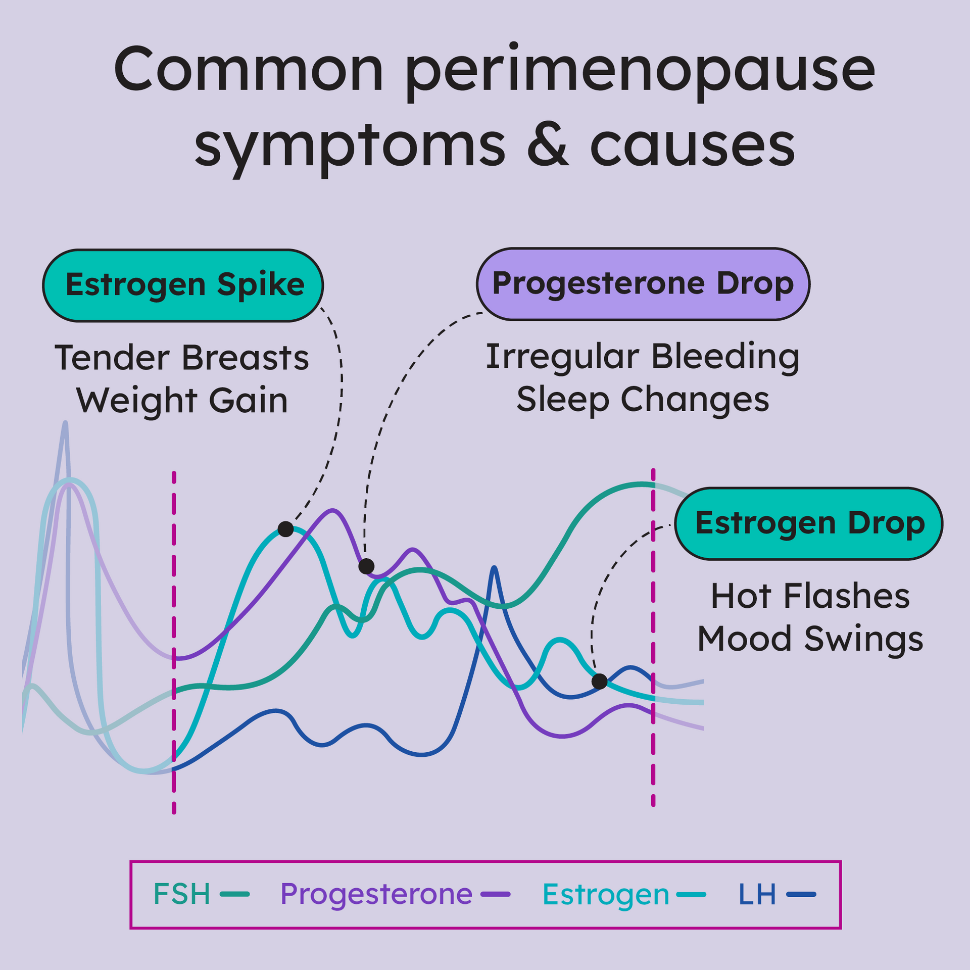 Empower Perimenopause Test Kit